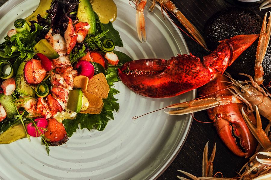 Lobster salad with a whole claw and langoustines