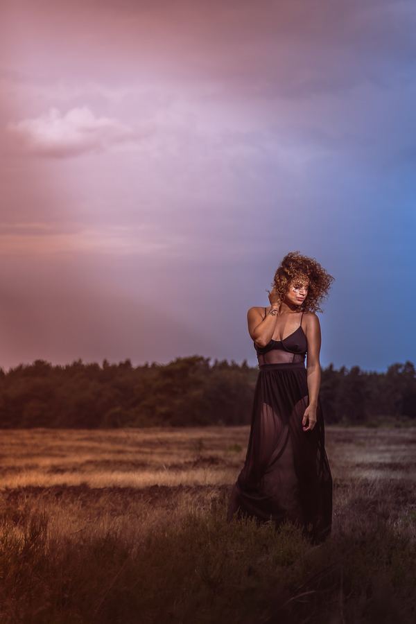 A sheer black dress on the heath under a pink and blue evening sky