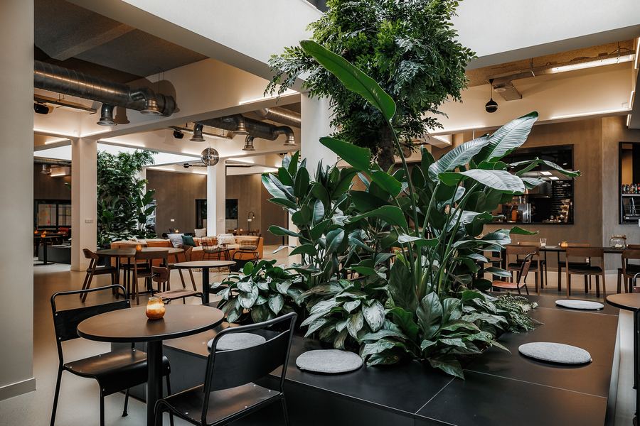 Café seating around a planter of banana plants