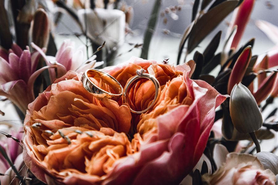 Two gold rings resting in an orange garden rose